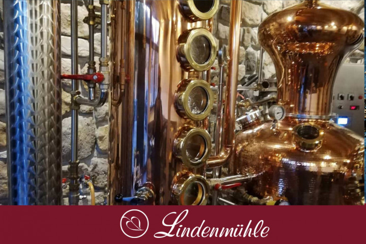 Gin Tasting Gutschein